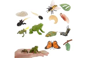 JOKFEICE 13pcs Insect Toys Life Cycle of Butterfly, Honey Bee & Frog Action Model, Plastic Bug Figurines, Early Educational Toys Science Project Christmas Birthday Gift for Kids