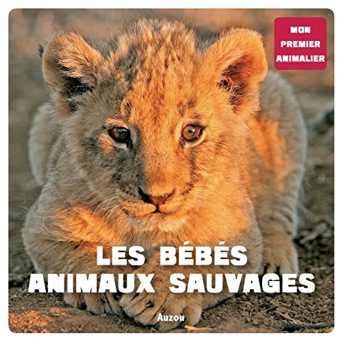 Book's Cover of Mon premier animalier : Les bébés animaux sauvages