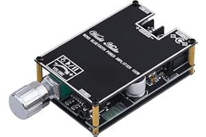 SIKKEBY HiFi-Verstärker mit Bluetooth 5.1, ZK-1001B Audioverstärker Karte 100W Mini TWS Mono Audio-Leistungsverstärkermodul mit BT/AUX/USB-Eingang, DC 7-24V DIY-Lautsprecherkit