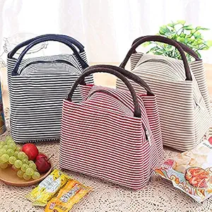 DROZIP Reusable Small Lunch Bag, Insulated Thermal Leak-Proof Lunch Box Soft Lunch Tote for Adult Women office picnic travel work with zip closure (Multi Color With Stripe)