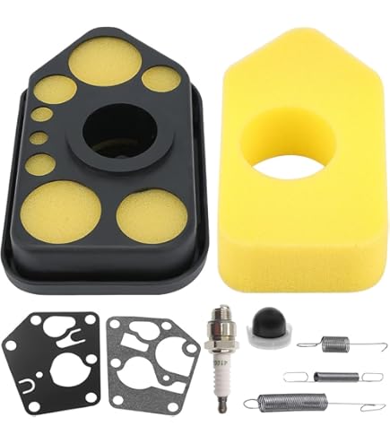 Filtre à Air 698369 Avec Carburateur Membrane Joint 495770 795083 Ressort De Regulateur 691859 692211 Bougie Dallumage 91809175
