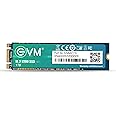 EVM 1TB M.2 (2280) SATA Internal SSD - 550MB/s Read & 370MB/s Write - 5-Year Warranty (EVMM2/1TB)