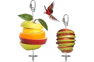 Houdao 2 szt. Patyczek do karmienia papużek ze stali nierdzewnej szpikulec dla papug szpikulec na owoce wiszący uchwyt na karmę dla ptaków ze stali nierdzewnej dla papużek falistych