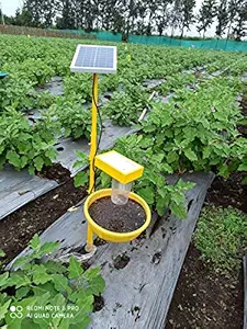 Chipku Solar Insect Trap to Catch Small sap Feeding Insects whiteflies, Thrips, aphids