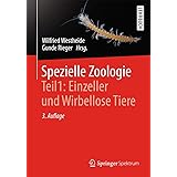 Spezielle Zoologie. Teil 1: Einzeller und Wirbellose Tiere