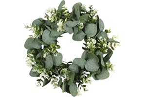 Toyvian Künstliche Eukalyptus Kranz Blätter Zweig Girlande Hochzeit Türkranz Willkommen Türschild Garten Willkommensschild Wandkranz für Wohnzimmer Wanddeko Ostern Frühling Haustür Deko