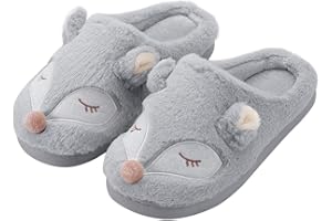 Kqpoinw Femmes Pantoufles, Femmes Maison Pantoufles Chaussons Femme Doux Peluche Mousse Mémoire Pantoufles Animal Chaud Pantoufles Maison Chaussures Taille 36 37 38 39 40 41