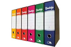 EURO-CART Registratore con Custodia 6 Pezzi Dorso da 8cm Raccoglitore ad Anelli A4 Faldoni Portadocumenti per Ufficio e Archivio, Registratore a Leva Raccoglitori Documenti Colori Misti, PROTOCOLLO (285x343mm)