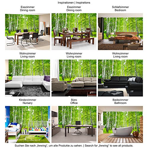 Fototapete Wald – ALLE WALDMOTIVE auf einen Blick ! Vlies PREMIUM PLUS – 200×140 cm – SUNNY BIRCH FOREST – Birkenwald Bäume Wald Sonne Birkenhain Birke Birken Gras Natur Baum – no. 112 - 5