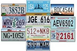OPO 10 - Lot de 10 PLAQUES D' IMMATRICULATION de Voiture USA en métal - répliques de Vraies plaques américaines (V1)