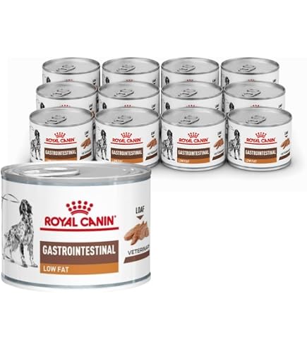 Bio Dit-Hundefutter bei Magen-Darm-Erkrankungen fr Hunde 6x400g in 100%  Bio-Lebensmittelqualitt Premium Nassfutter : Amazon.de: Haustier