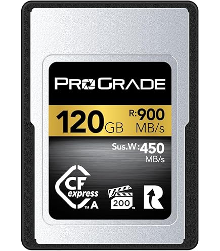 ProGrade Digital 160GB CFexpress Type A Memory Card,Silver