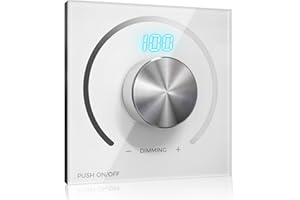 BrightArk Reguladores de Intensidad DC 12-24V PWM con Pantalla Digital, Atenuador Dimmer LED para Caravanas, Barcos y Bombillas LED Regulables