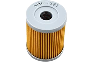 TONGTONG AHL Motocicletta Filtro Olio Motore Filtro Olio Filters per SUZUKI AN250 BURGMAN 250 1999-2007