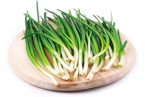 HUA XIAN ZI Semi di erba cipollina cinese 1000Pcs Semi di ortaggi vegetali di cipolla verde delizioso giardino da giardino