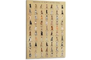 HLLNWB Poster der beliebtesten Hunderassen, Poster für Hundefans, Tiere, Lehrtafeln, Geschenke für Kinder (mit Rahmen, 30,5 x 40,6 cm) (evtl. nicht in deutscher Sprache)