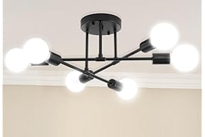 Dellemade Ceiling Light, 6-Lights Chandeliers Black Ceiling Light Fixture for Living Room,Bedroom,Kitchen (Black)