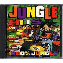 レア盤 JUNGLE HITS vol.1 (2LP) Jungle Hits, Vol. 1 - Album by Various Artists - Apple Music