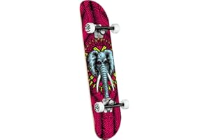 Powell-Peralta Complete Skateboards