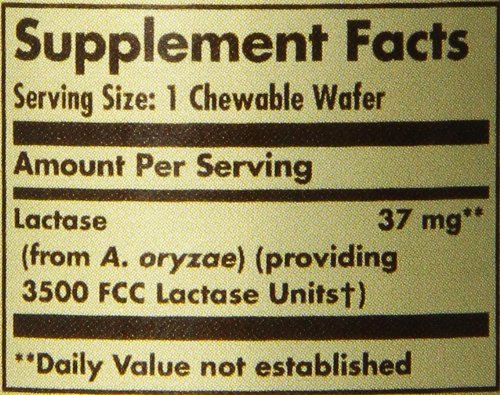 Solgar, Lactase 3500, Natural Vanilla Flavour, 60 Chewable Wafers