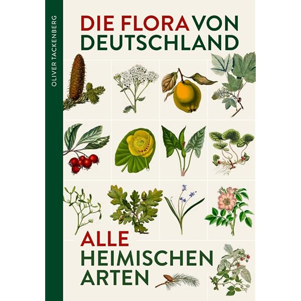 Bildatlas der Farn- und Bltenpflanzen Deutschlands: Alle 4200 Pflanzen in  Text und Bild : Haeupler, Henning, Muer, Thomas: Amazon.de: Bcher