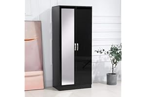 PALAKLOT 2 Door Mirrored Wardrobe | Modular Cabinet for Space Saving | Ideal Storage Organizer (Black)