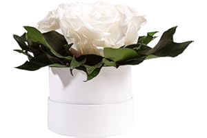 ‎ROSEMARIE SCHULZ HEIDELBERG ROSEMARIE SCHULZ Heidelberg Infinity Rosenbox weiß rund konservierte Blumen Weiß - 3 Infinity Rosen Durchmesser 15 cm - Geschenk für Hochzeitstag (Weiß, Medium)