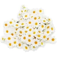 100 Margherite Finte In Resina - Decorazioni DIY Per Casa, 5 Misure (8-26mm), Bianche E Durevoli - Foto 6
