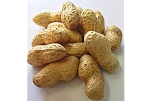 Faunamix Cacahuetes con cáscara crudos. Complemento alimenticio para Loros (300 gr)