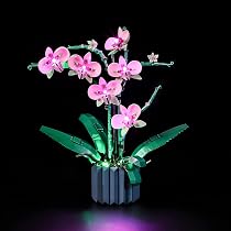 YEABRICKS LED-Beleuchtungsset Für LEGO 10368 Chrysantheme – Lichtset Ohne Bausteine