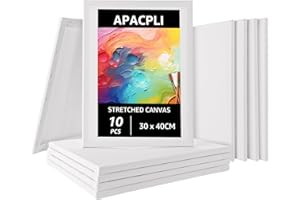 APACALI Bastidores de 10 piezas de 30 x 40 cm, lienzo para pintar, bastidores de algodón, lienzo para artistas, lienzos blancos sin ácidos para aficionados y artistas