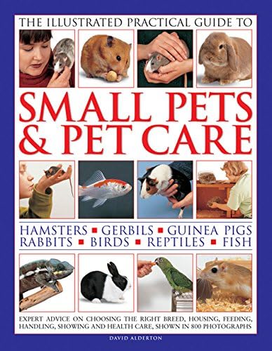 The Illustrated Practical Guide to Small Pets & Pet Care: Hamsters, Gerbils, Guinea Pigs, Rabbits, Birds, Reptiles, Fish