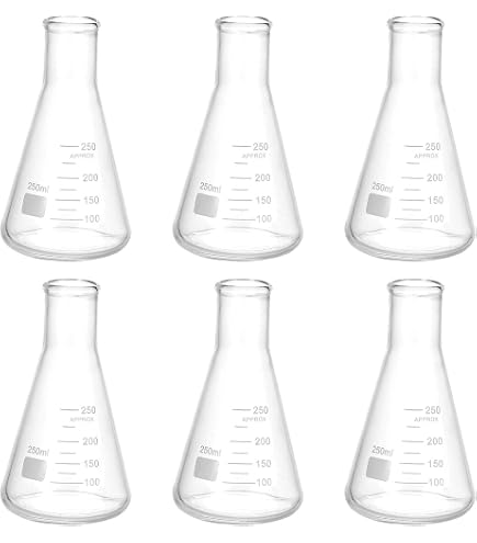 Matraz Erlenmeyer 250 Ml Pyrex | Meses sin interés