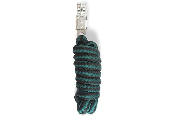 Longe avec crochet de panique pour cheval - Corde de fixation dans différents designs élégants - Laisse de fixation pour poney, âne, chèvre (vert/noir)