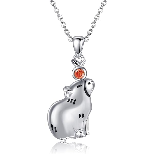 Oorbellen Sterling zilver 925 Infinity | Zilveren oorbellen | Mevrouw