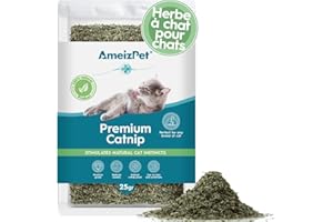 AmeizPet Herbe à Chat pour Chats Premium, Friandises à l'herbe à Chat pour L'entraînement Et Le Jeu, Poussière De Comportement pour Chat Et Chaton 25 g (0.06 Oz)