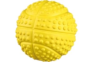 Trixie 34843 - Pelota para perros, 5.5 cm, 1 unidad, colores surtidos