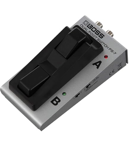 Boss VE-8 Acoustic Singer : Amazon.in: Musical Instruments