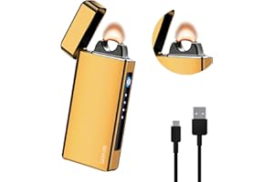 SKRFIRE Electric Lighter Windproof, Pulsed Flame Electric Lighter Plasma-Flame Arc Lighter Rechargeable USB Lighter with Battery Indicator (Gold)