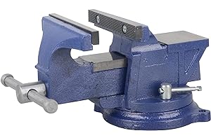 DAYUAN Morsa da tavolo girevole da 4", 100 mm, larghezza ganasce, con incudine, girevole a 360°, in ghisa, morsa parallela per banco da lavoro