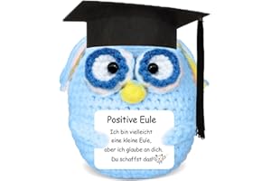 Aruigu Glücksbringer gestrickte Eule, Pocket Hug Positive Kartoffel-Ersatz, Mutmacher und Gute Besserung, Geschenk für Prüfungen (Blau)