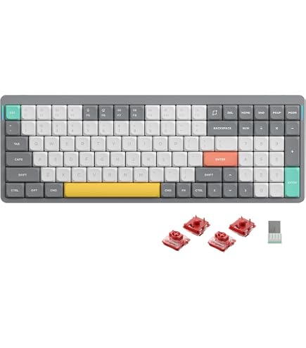 Nuphy Air96 V2 Tastiera Meccanica Low-Profile 96% – QMK/VIA, Bluetooth 5.1, 2.4GHz, Switch Brown, Compatibile Windows/Mac