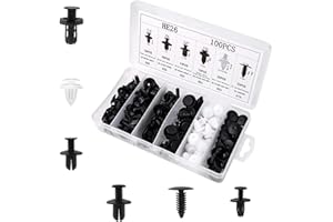 AQSQWQ 100 Piezas Clips Remaches Plástico,Fijación de Coche Universales,Remaches Plastico Coche Universal 6 Tamaño Común