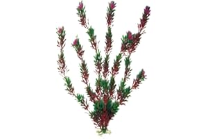 AMTRA WAVE Flora Plante Classique pour Aquariophilie Bicolore Taille S