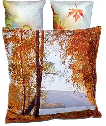weiche KISSENHÜLLE 40x40 cm Herbstlandschaft am See Kurzvelours Polyester Dekokissen Kissenbezug TREND FOTOprint Kissen Frühling Sommer Herbst (Herbstlandschaft Bunt)