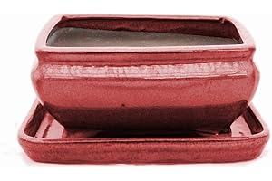 Exotenherz - Bonsai-Schale mit Unterteller Gr. 2 - Rot - rechteckig - Modell G81 - L 14,5cm - B 11,3cm - H 6,6cm