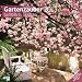 Gartenzauber 2013 by