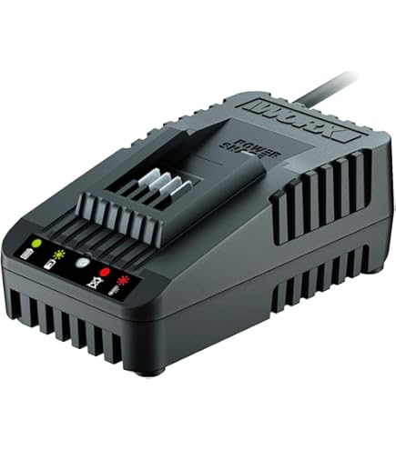 Dewalt Batteries Worx 20v Battery 2-Pack 20V Battery And