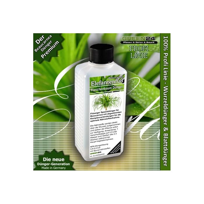 Buy Beaucarnea (Ponytail Palm, Elephant's Foot Tree) Liquid Fertilizer