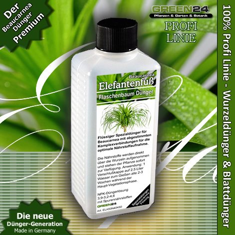 Elefantenfuß-Dünger Beaucarnea Flüssigdünger HIGHTECH